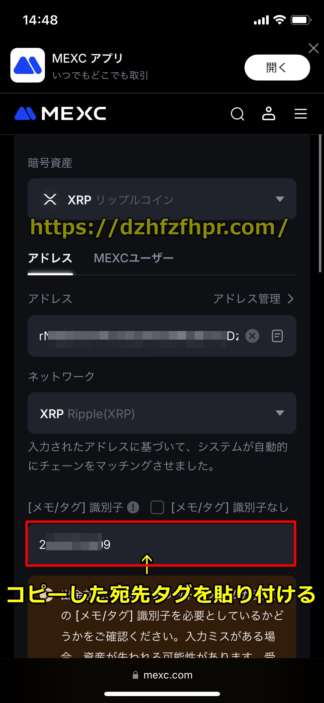 ワンダーカジノ