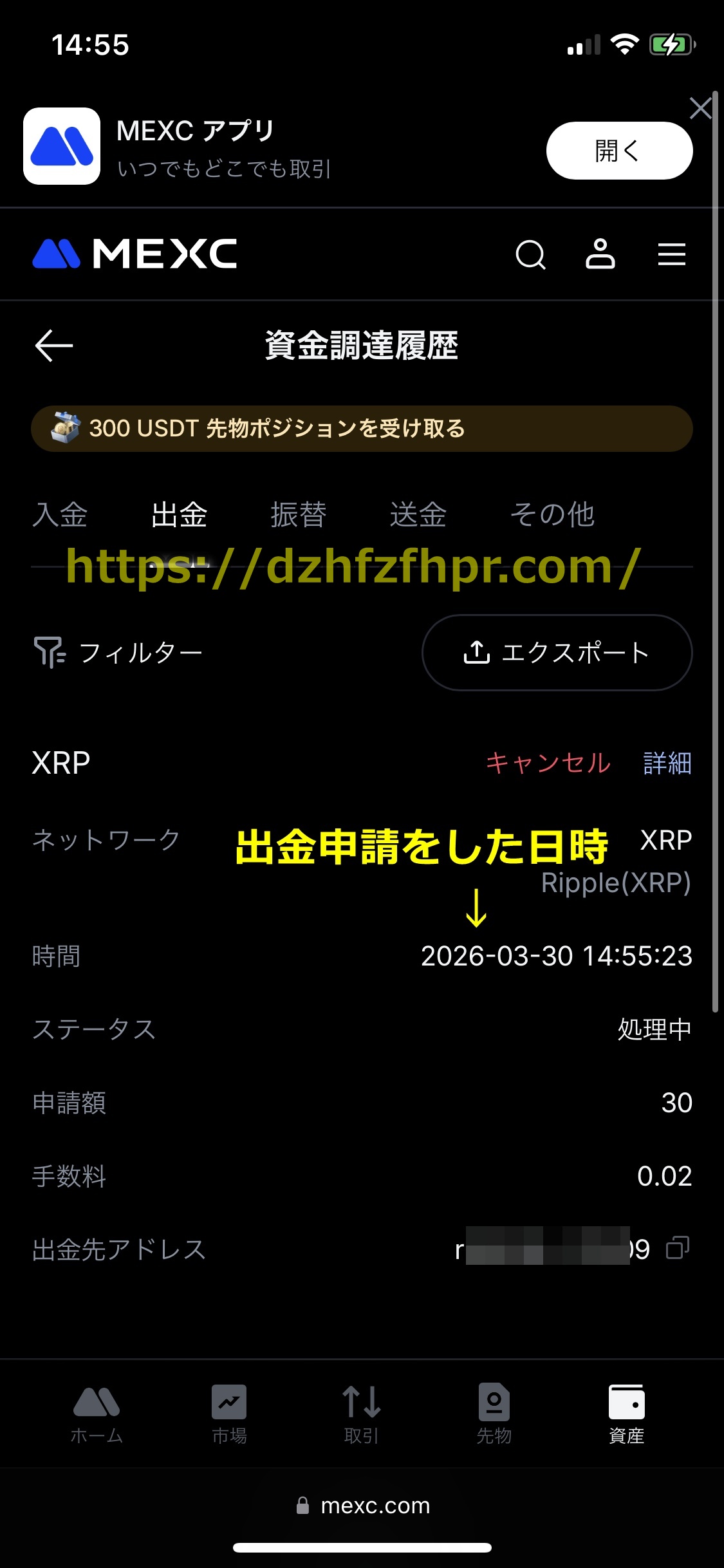ワンダーカジノ
