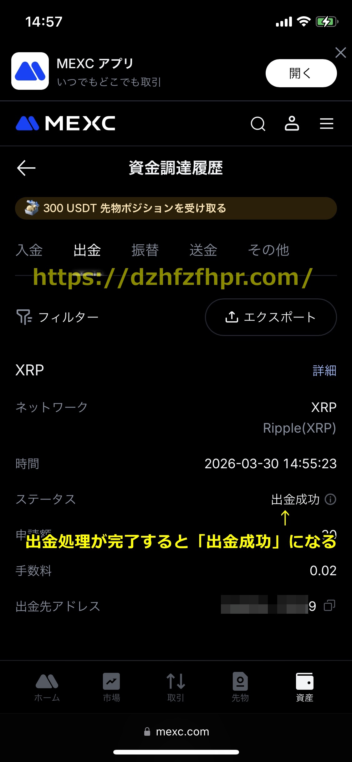 ワンダーカジノ