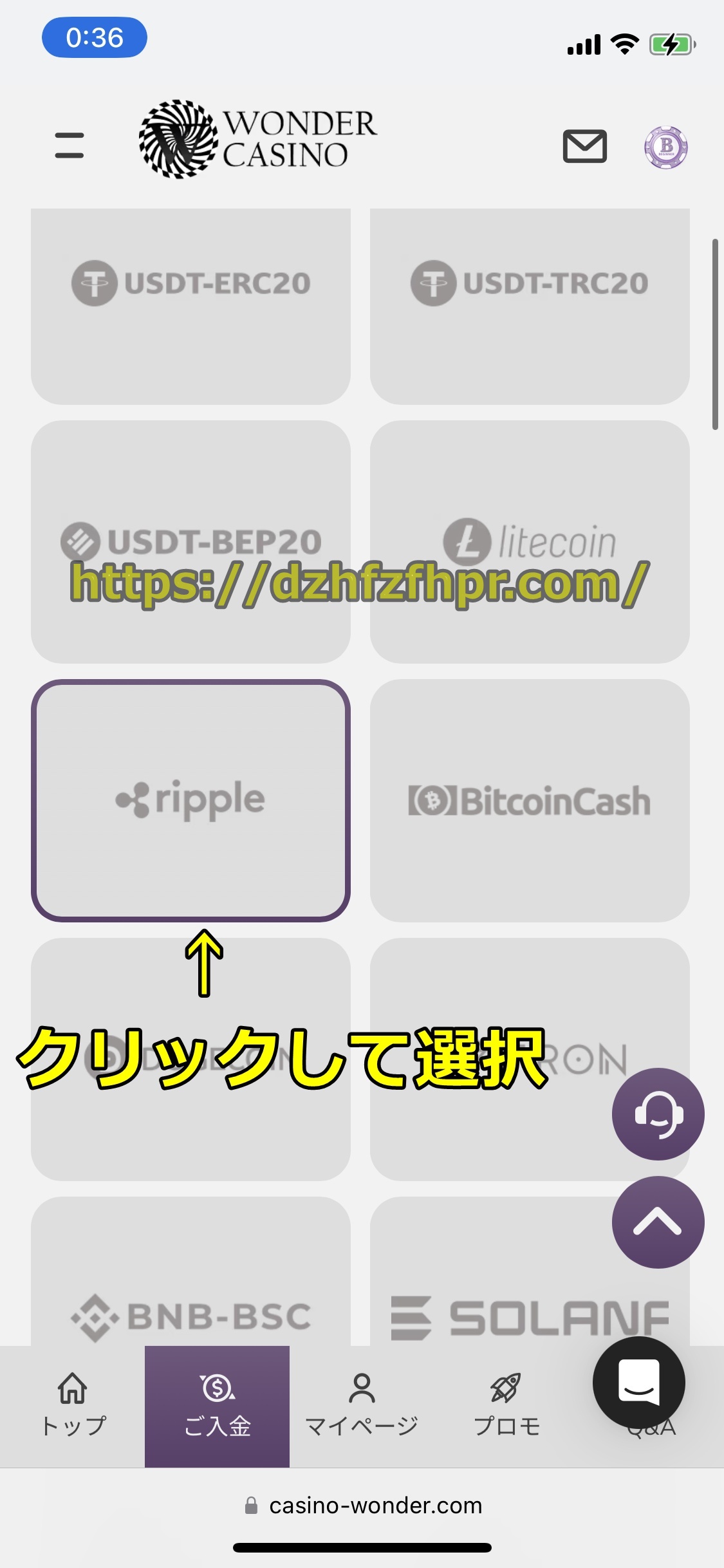 ワンダーカジノ